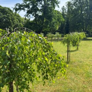 st-hedwig-friedhof-birkenhain