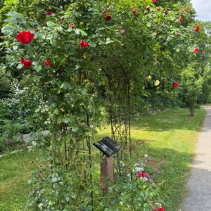 st-hedwig-friedhof-rosenbogen-kondolenzbuch