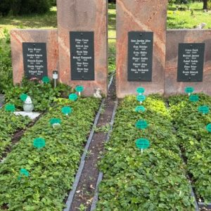 st-hedwig-friedhof-urnen-reihenstelle-gemeinschaftsdenkmal